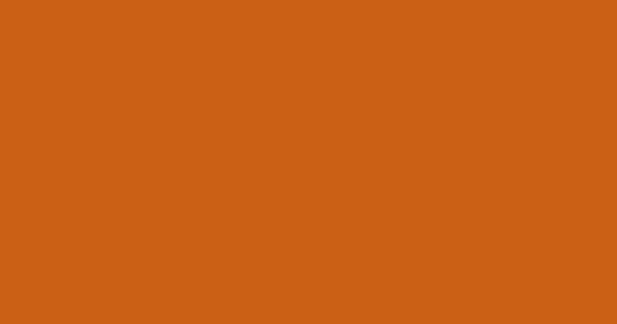 Pantone® 159 C color swatch, approximately #CB6015
