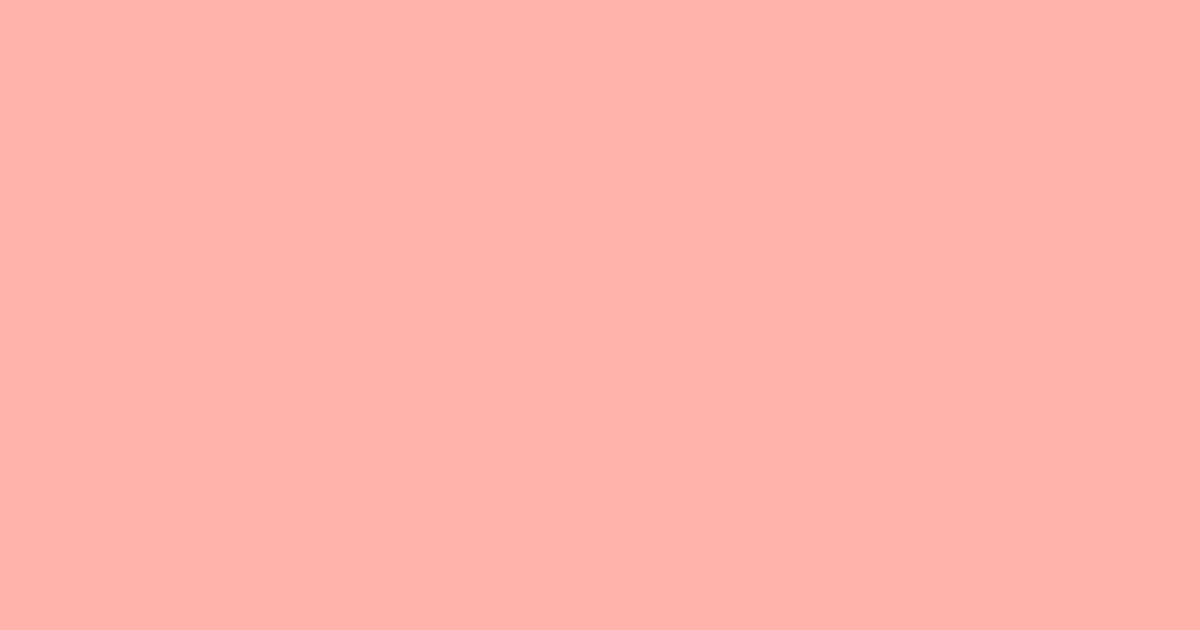 Pantone® 169 C color swatch, approximately #FFB3AB