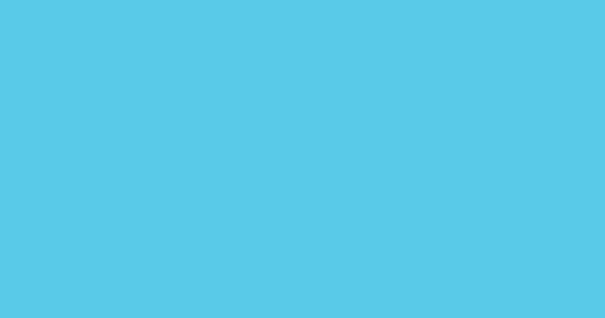 Pantone® 305 C color swatch, approximately #59CBE8