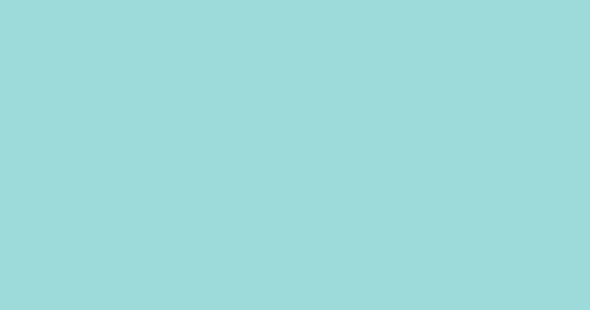 Pantone® 324 C color swatch, approximately #9CDBD9
