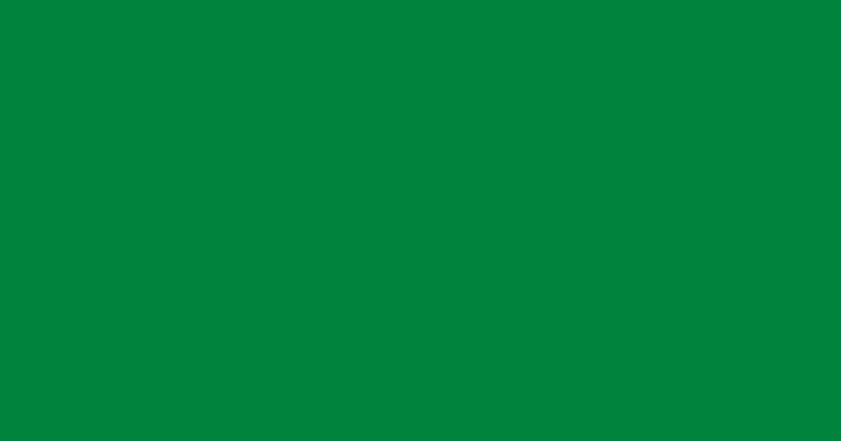 Pantone® 348 C color swatch, approximately #00843D