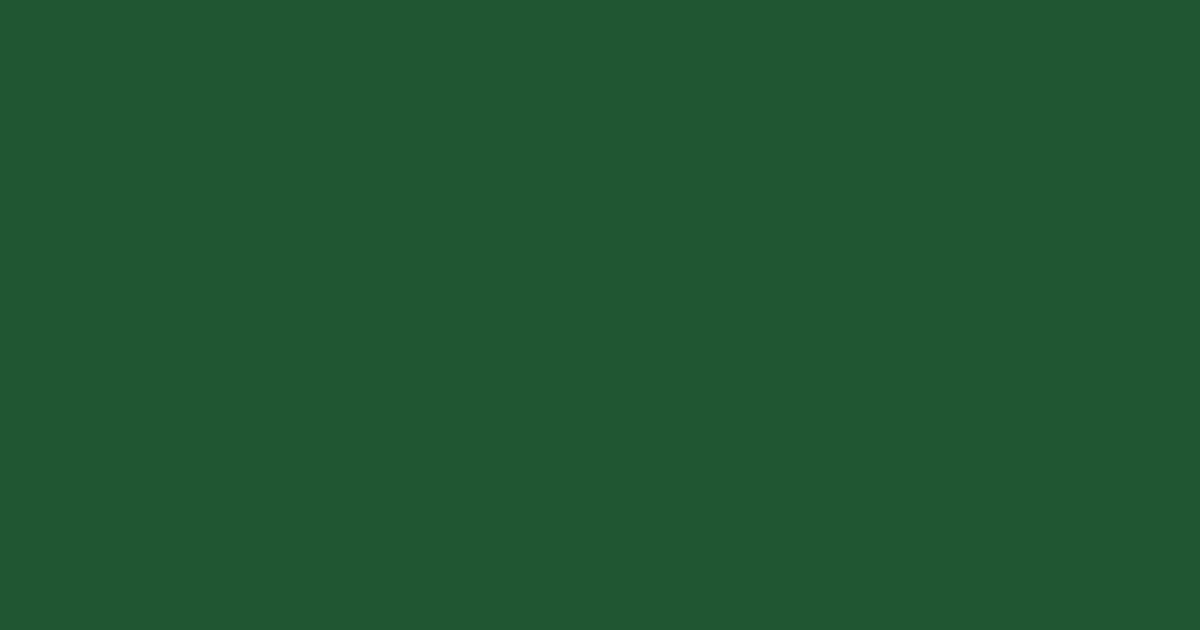 Pantone® 357 C color swatch, approximately #215732