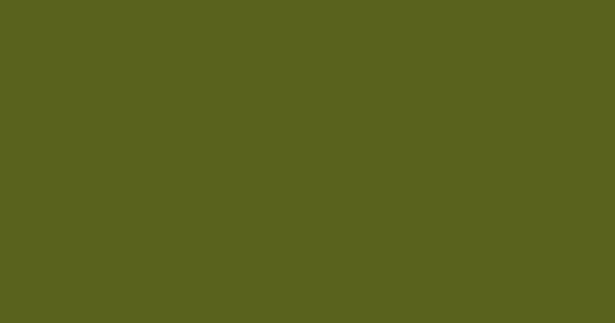 Pantone® 378 C color swatch, approximately #59621D