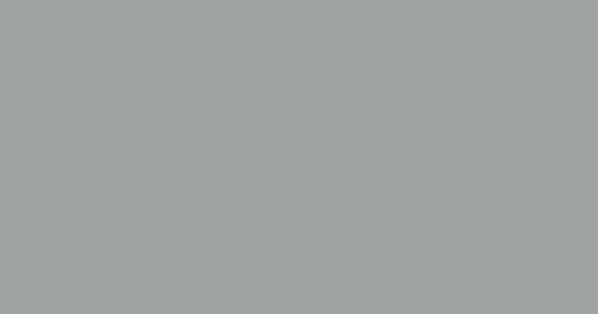 Pantone® 422 C color swatch, approximately #9EA2A2