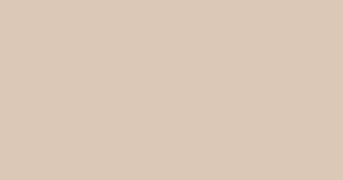 Pantone® 482 C color swatch, approximately #DBC8B6