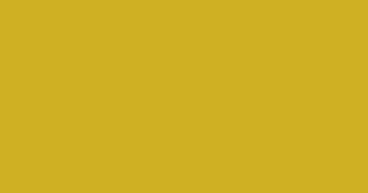 Pantone® 7752 C color swatch, approximately #CFB023