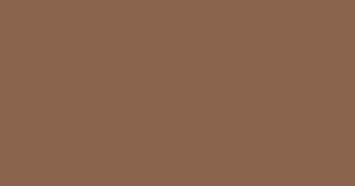 Pantone® 876 C color swatch, approximately #8B634B