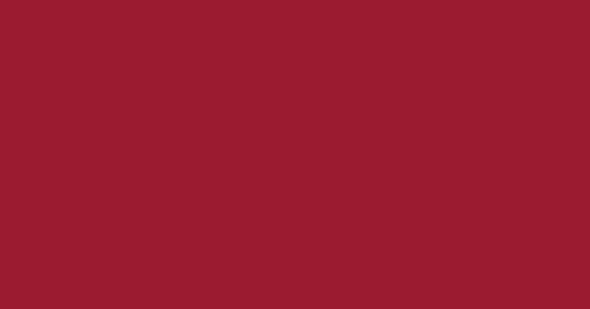 Pantone® 19-1557 Chili Pepper color swatch, approximately #9B1B30